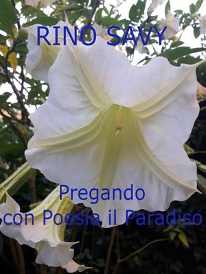 cover image of Pregando con Poesia il Paradiso